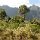 Berglandschaft in der Gegend von 'Vang Vieng'